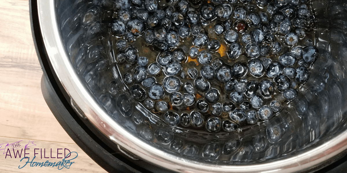 Instant Pot Blueberry Jam
