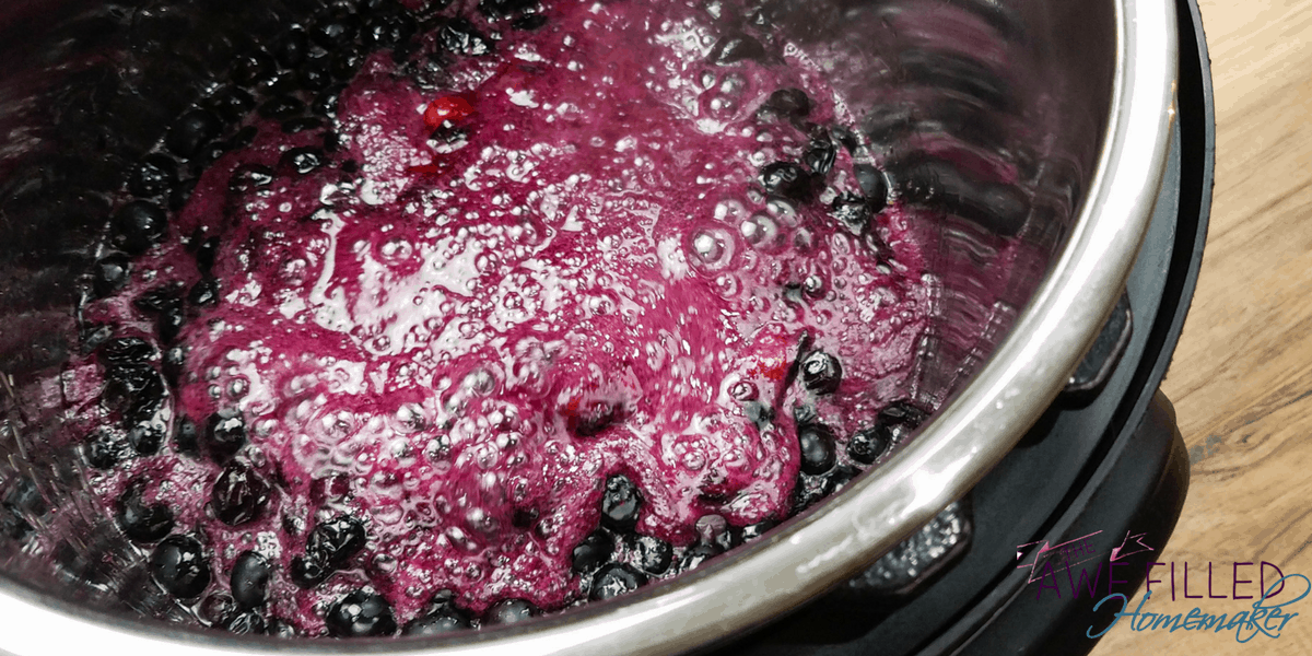 Instant Pot Blueberry Jam