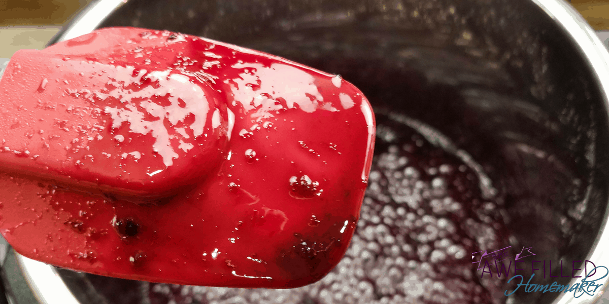 Instant Pot Blueberry Jam