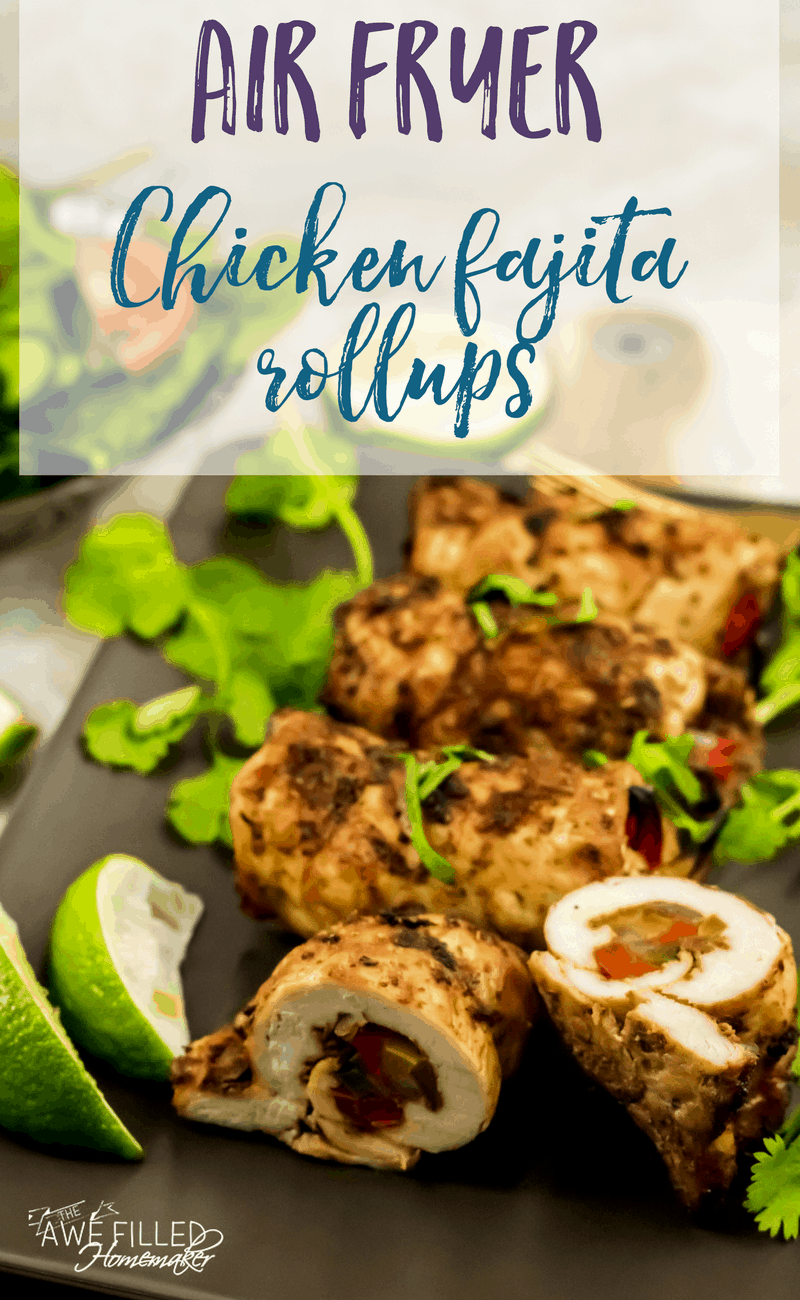 Air Fryer Chicken Fajita Roll ups