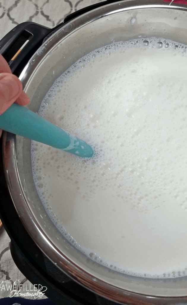 Instant Pot Greek Yogurt