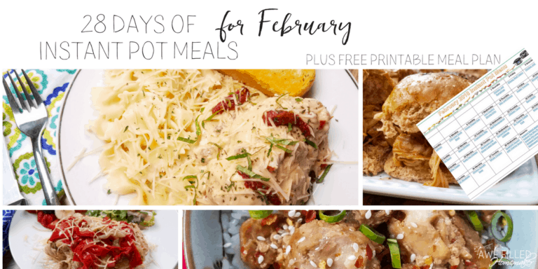 28 Days of Instant Pot Meals 2