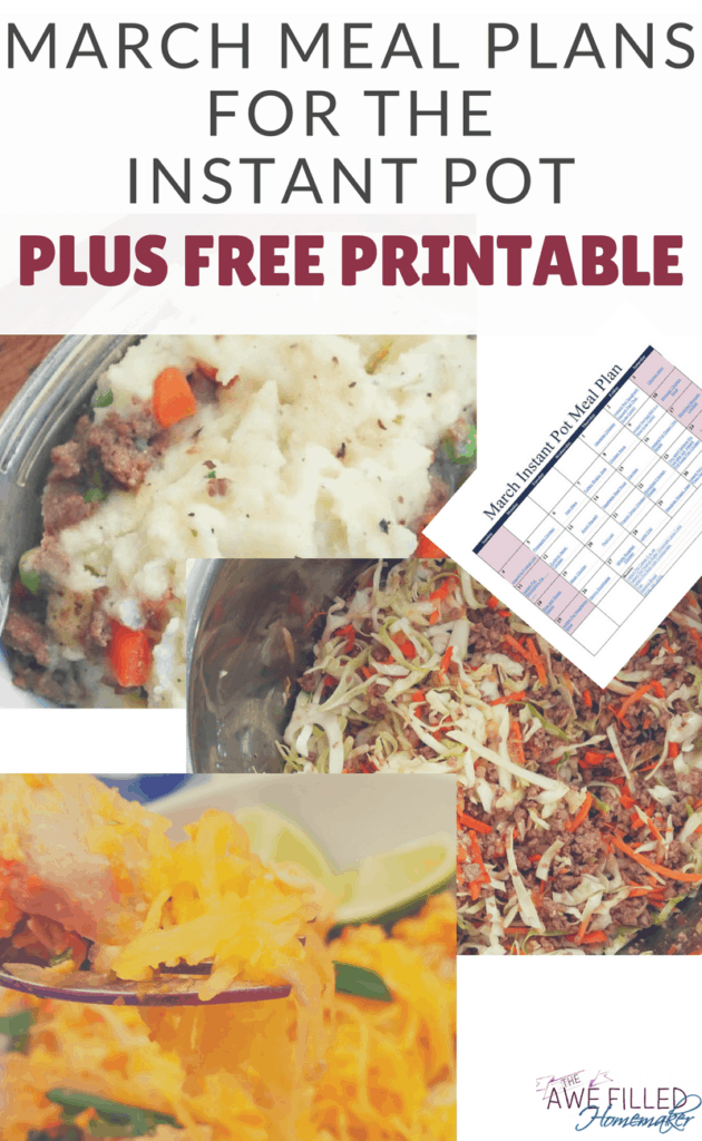 28 days of instant pot meals 5