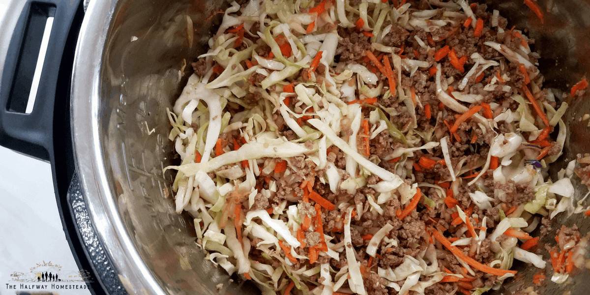 Instant Pot Egg Roll in a Bowl