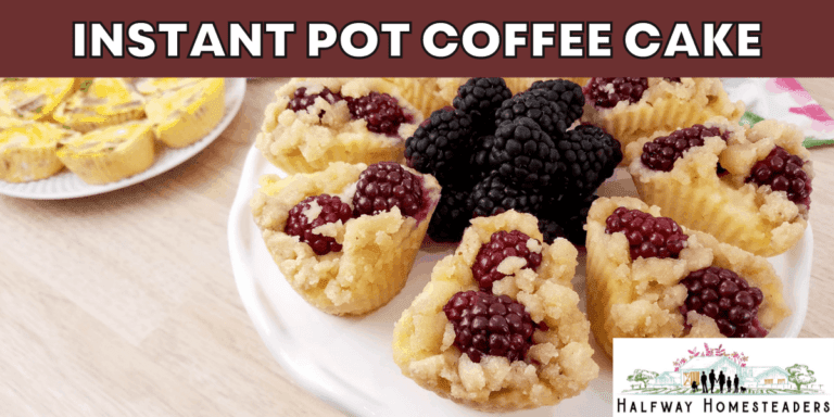 instant pot coffee cake with blackberries