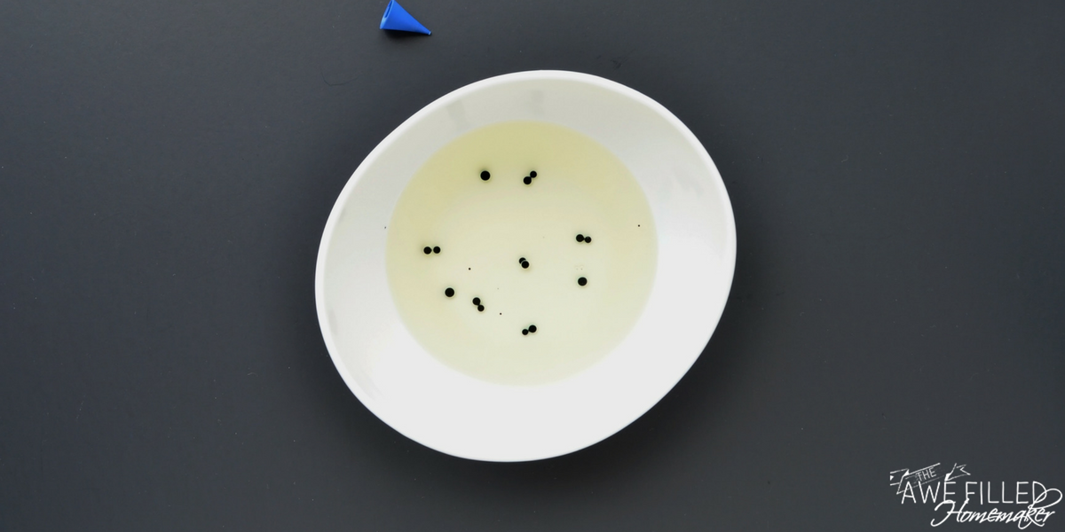 Oil and Food Coloring Science Experiment
