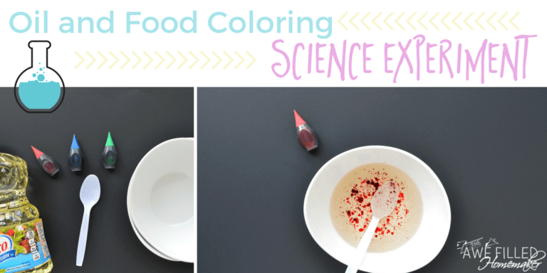 Oil and Food Coloring Science Experiment 7