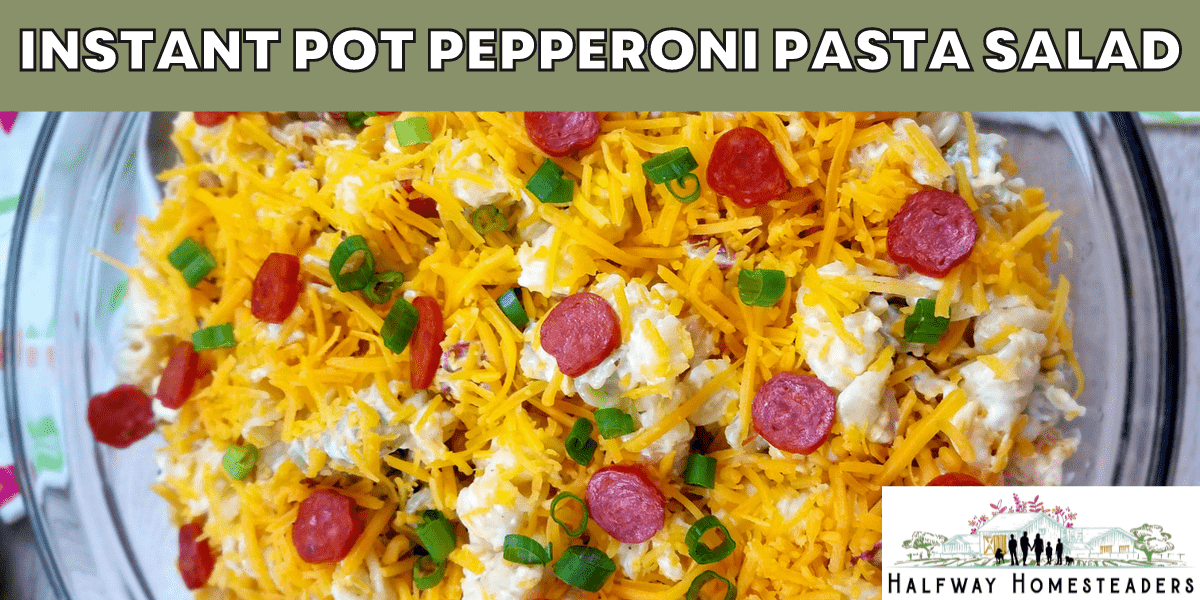 pepperoni pasta salad in the instant pot