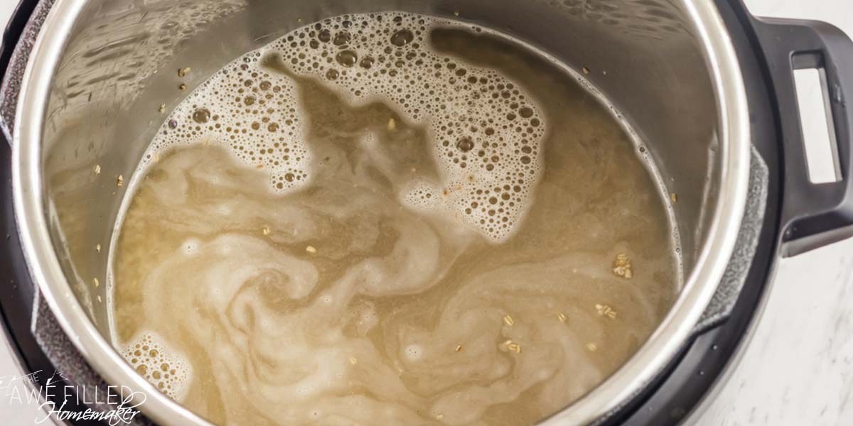 Instant Pot Brown Butter Oatmeal
