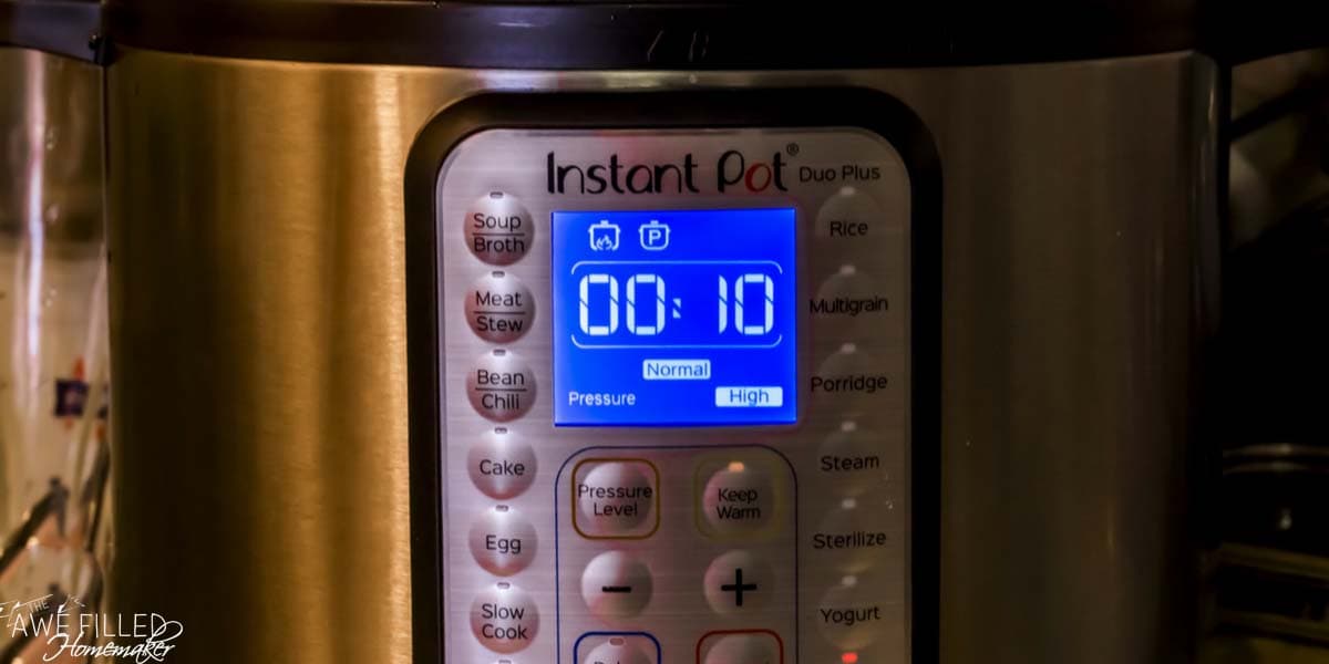 instant pot