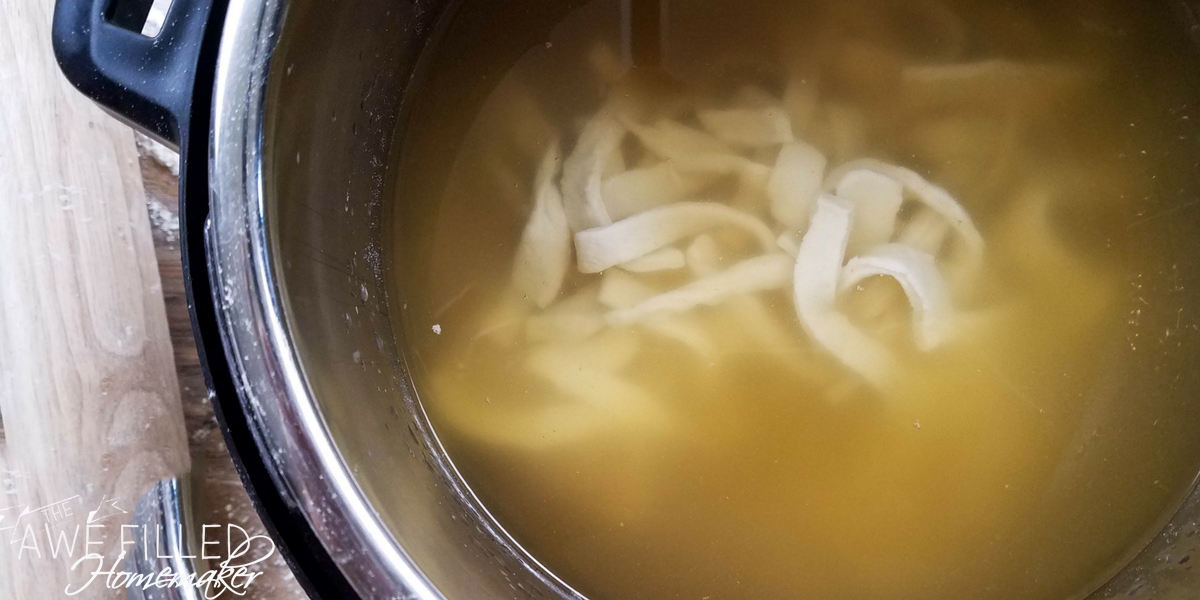 Instant Pot Chicken and Dumplings
