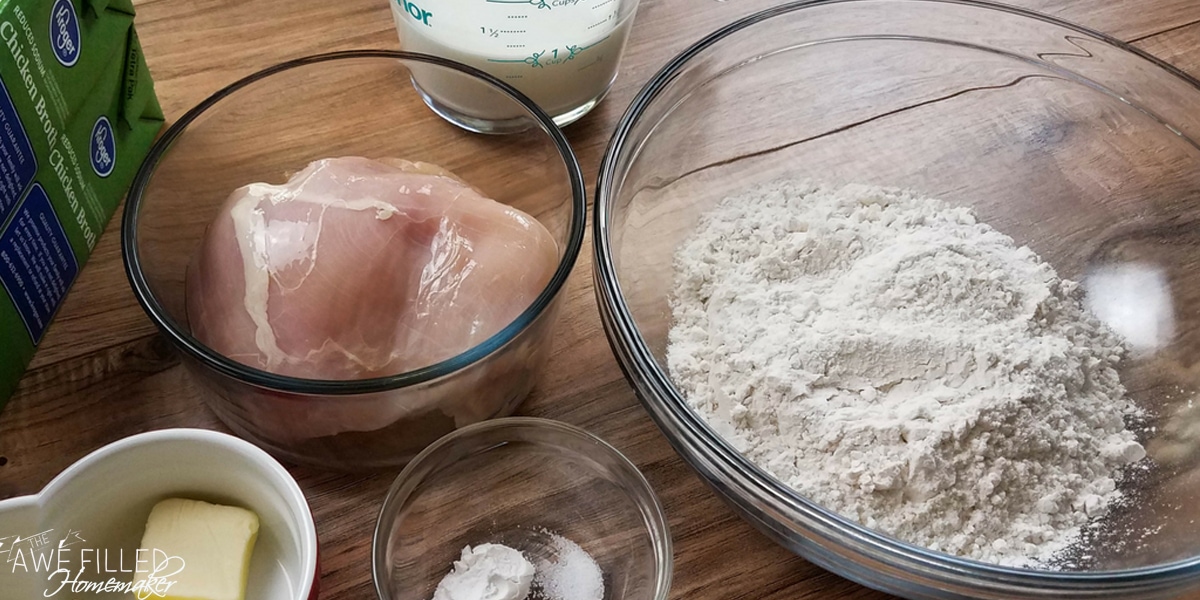 Instant Pot Chicken and Dumplings