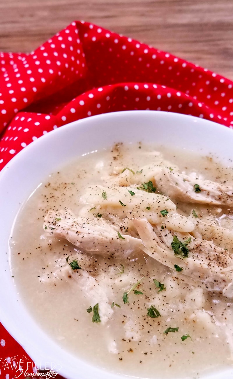 Instant Pot Chicken and Dumplings