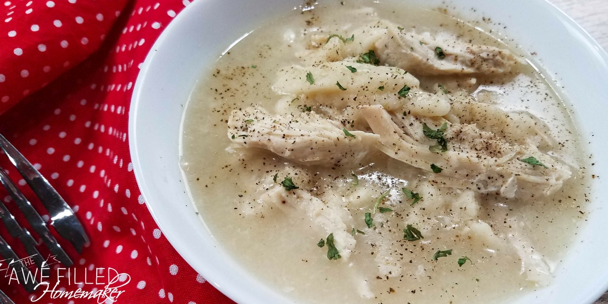 Instant Pot Chicken and Dumplings