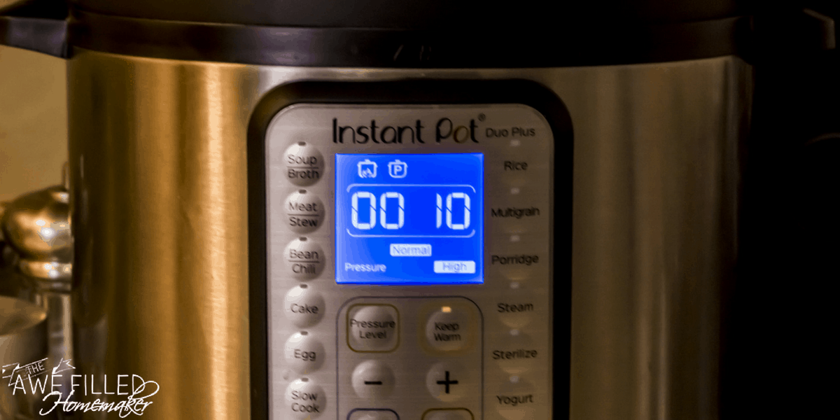 Instant Pot Homemade Meat Sauce