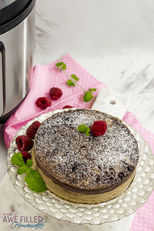 The Best Instant Pot Raspberry Swirl Cake recipe you'll ever find!