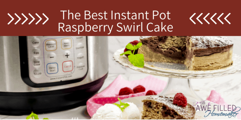 The Best Instant Pot Raspberry Swirl Cake 26