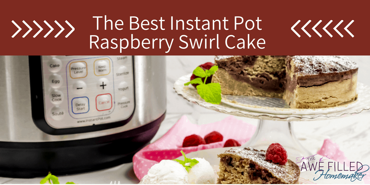 The Best Instant Pot Raspberry Swirl Cake 26