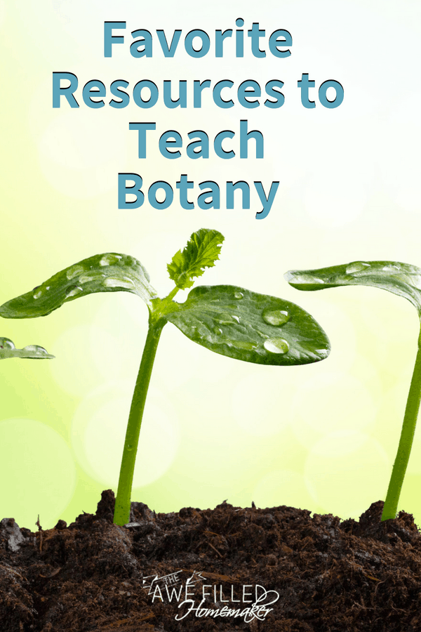 favorite ways to teach botany 1