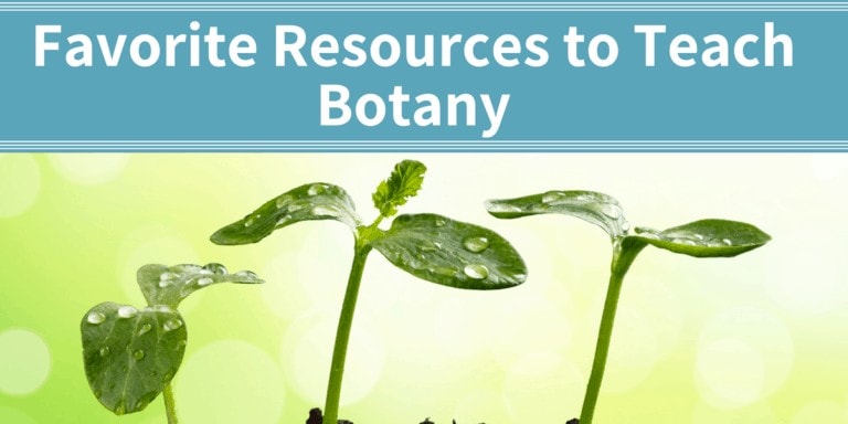 favorite ways to teach botany