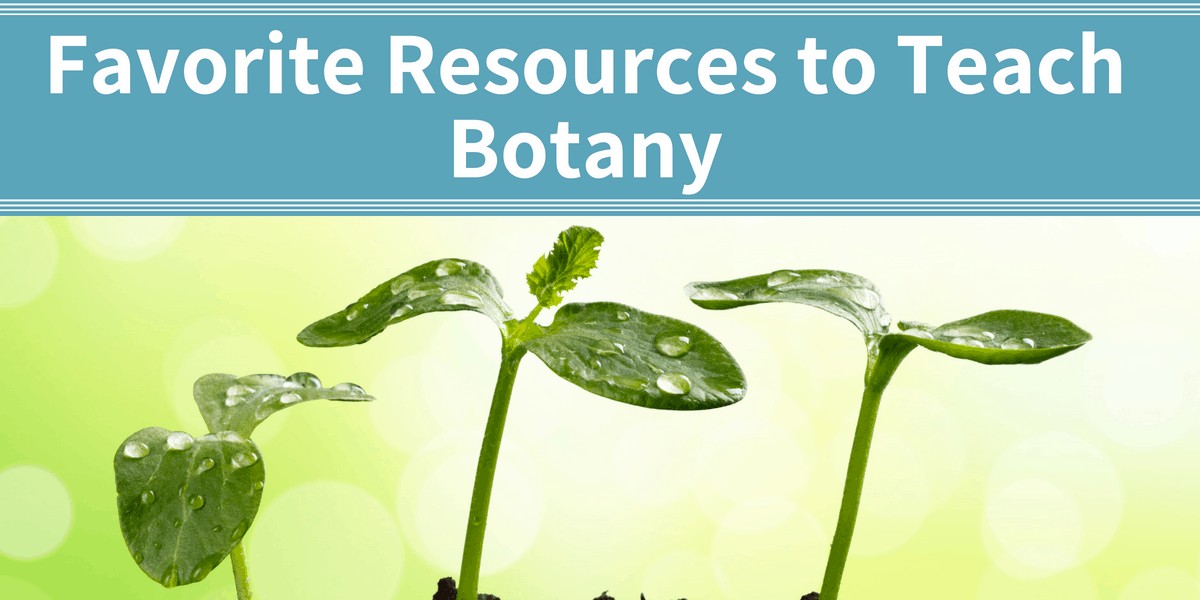 favorite ways to teach botany