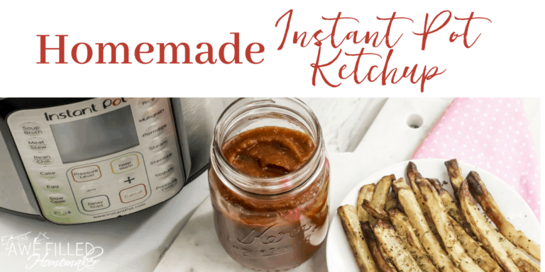 homemade instant pot ketchup 1
