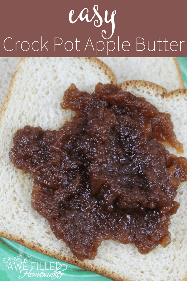 Easy Crock Pot Apple Butter