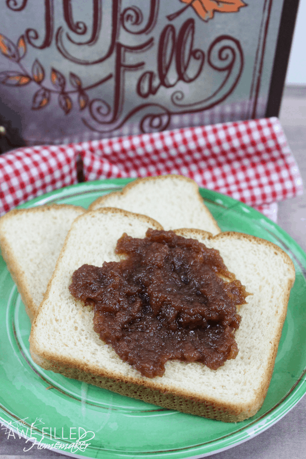 Easy Crock Pot Apple Butter