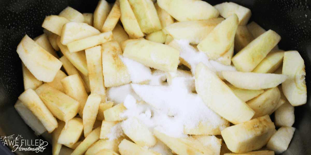 Easy Crock Pot Apple Butter