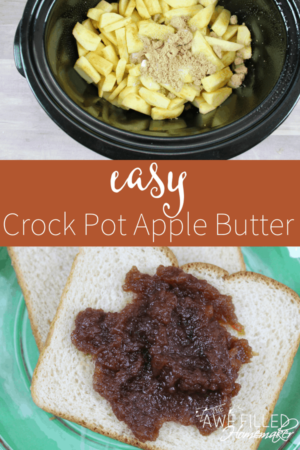 Easy Crock Pot Apple Butter