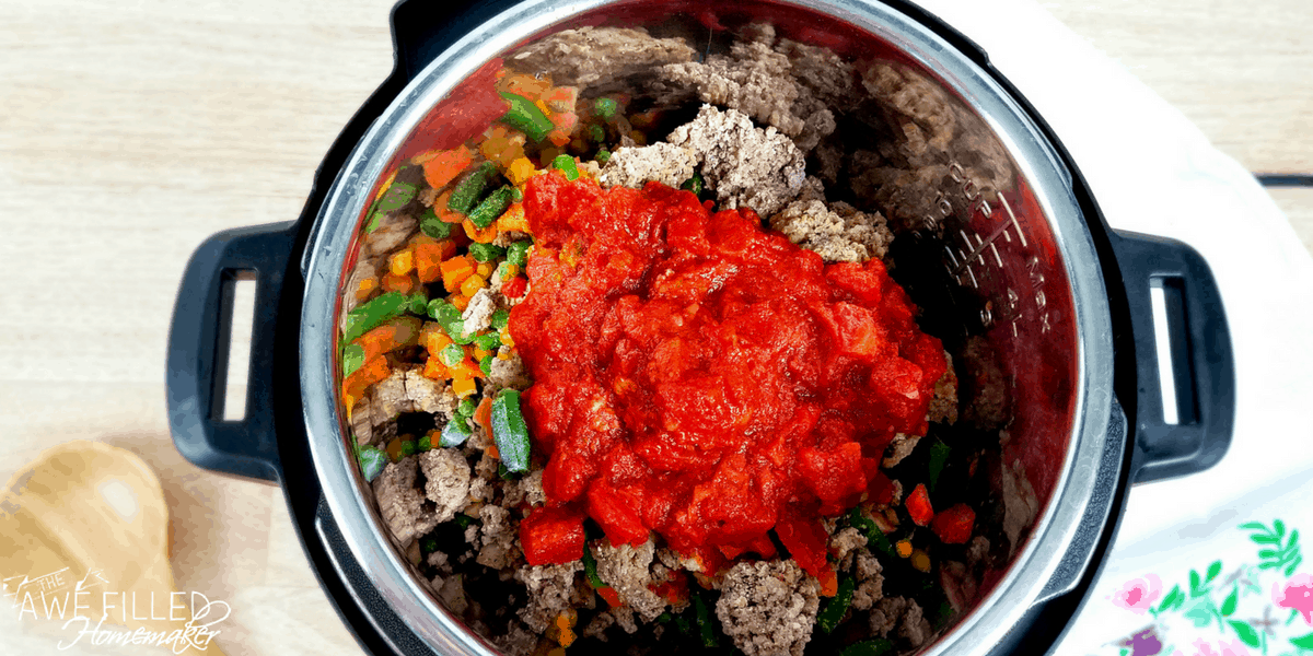 Instant Pot Beef & Vegetable Soup