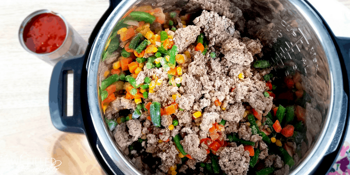 Instant Pot Beef & Vegetable Soup