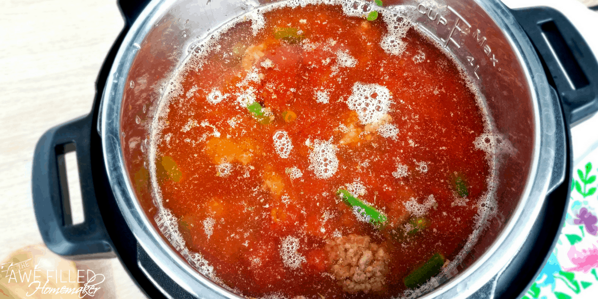 Instant Pot Beef & Vegetable Soup