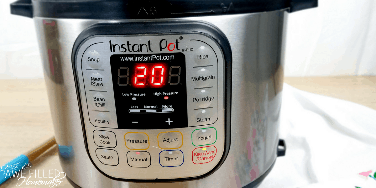 Instant Pot Beef & Vegetable Soup