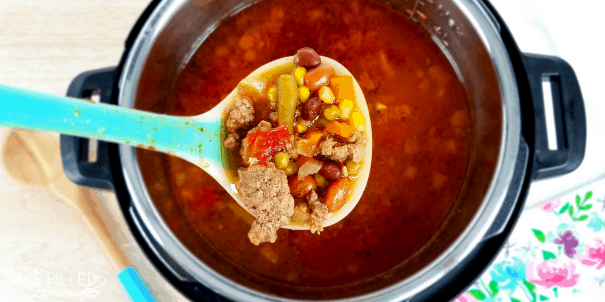 Instant Pot Beef & Vegetable Soup