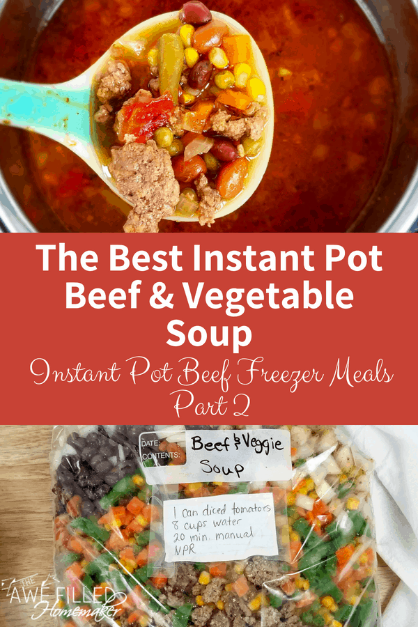 Instant Pot Beef Freezer Meals Part 3 2 1