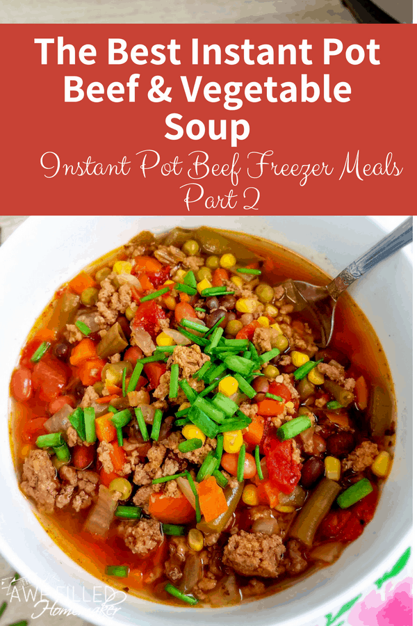 Instant Pot Beef & Vegetable Soup