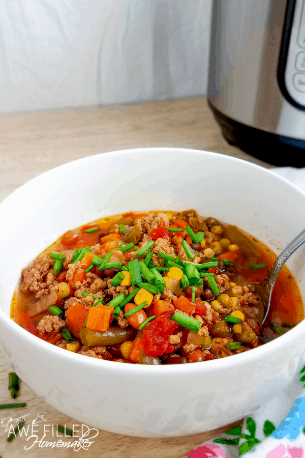 Instant Pot Beef & Vegetable Soup