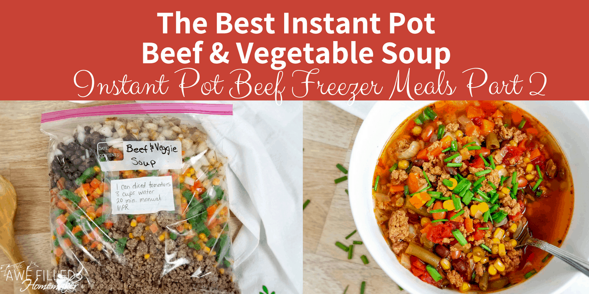 Instant Pot Beef Freezer Meals Part 3 33