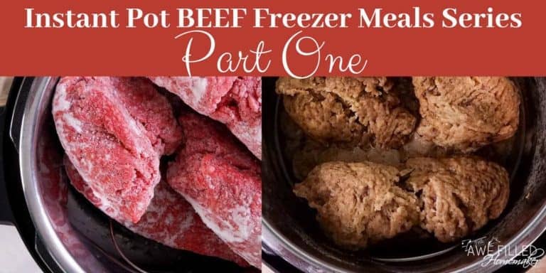 Instant Pot Beef Freezer Meals Part1 FB