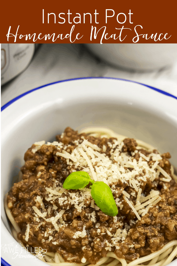 Instant Pot Homemade Meat Sauce