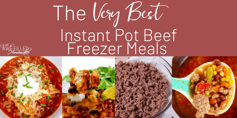 Copy of The Very Best Instant Pot Beef Freezer Meals 