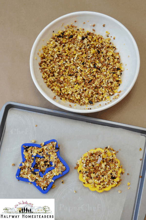 DIY Bird Feeders 10