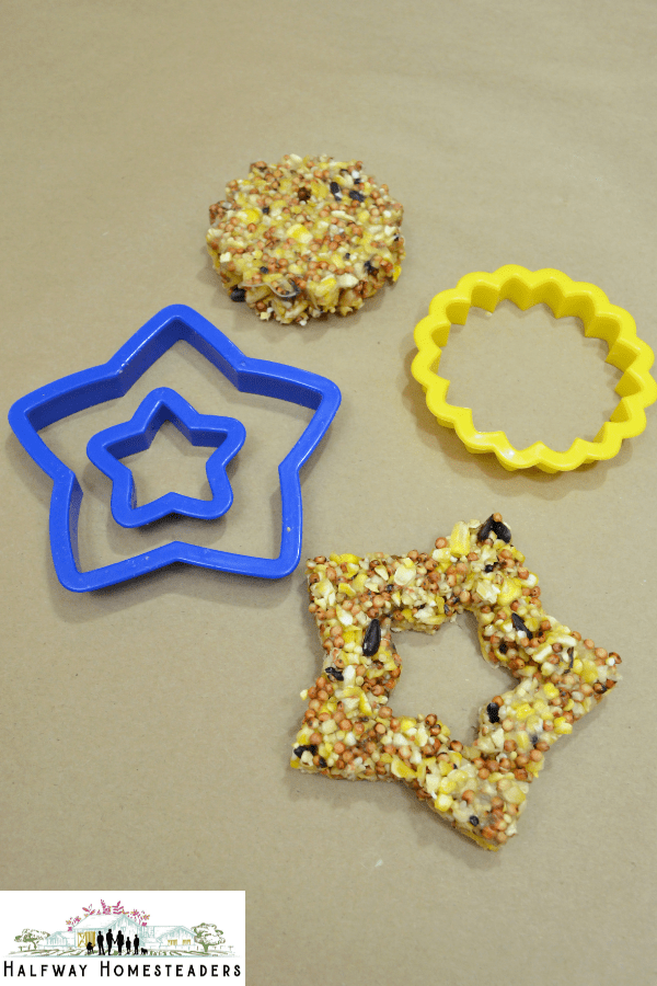 DIY Bird Feeders 4