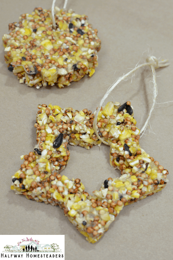 DIY Bird Feeders 7