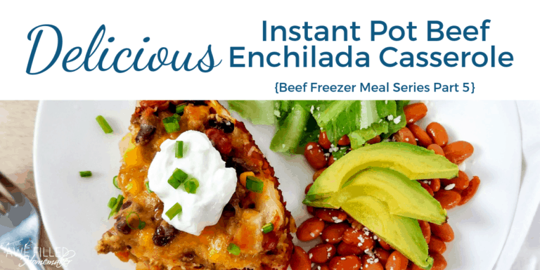 Delicious Instant Pot Beef Enchilada Casserole Beef Freezer Meal Series Part 5 36