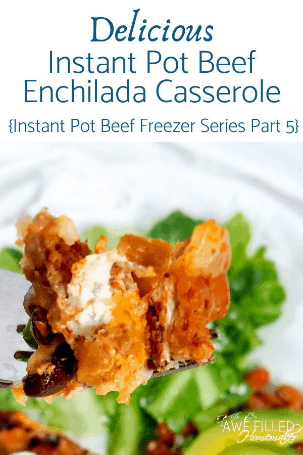 Instant Pot Beef Enchilada Casserole