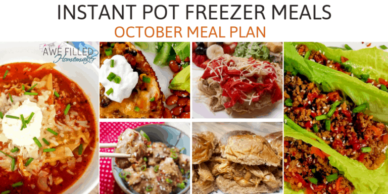 INSTANT POT FREEZER MEALS OCTOBER MEAL PLAN