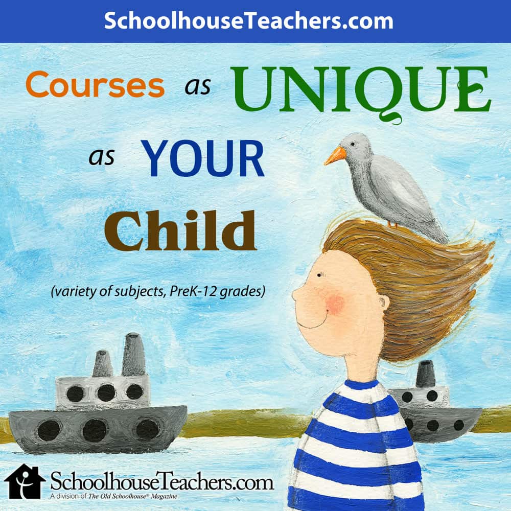 Join Schoolhouse Teachers