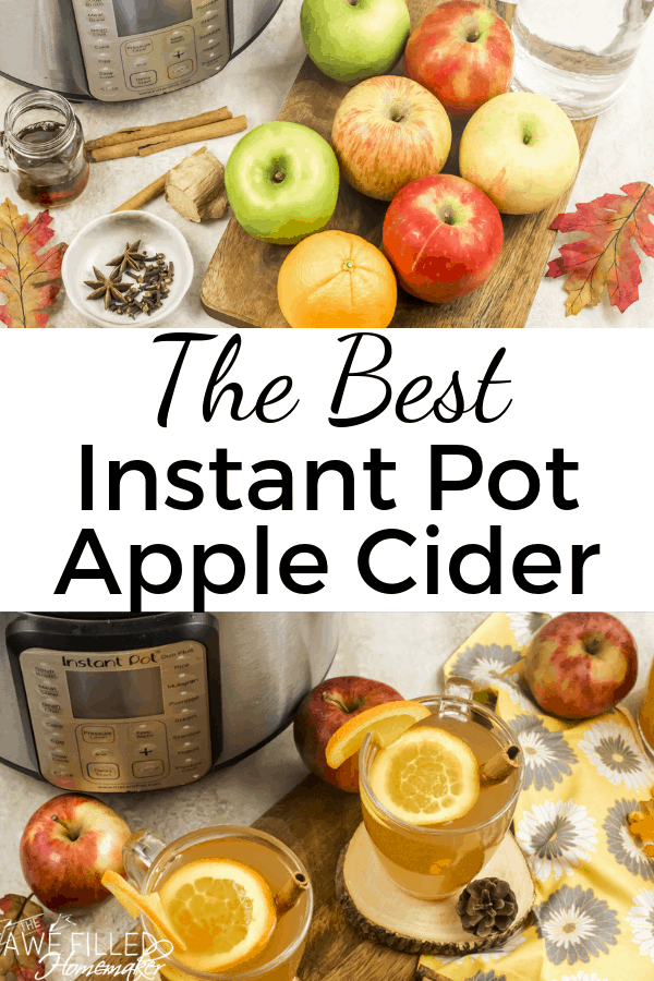 The Best Instant Pot Apple Cider 20